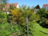 Bild 19
