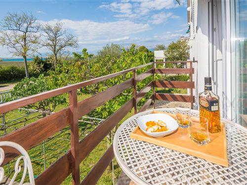 Holiday apartment - 4 persons -  - Put kandelica - 23233 - Privlaka