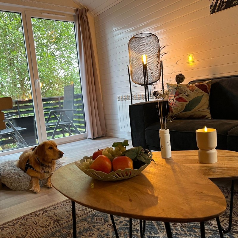 Sommerhus - 4 personer -  - Hauptstr. - 55765 - Oberhambach
