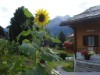 Bild 28 - Ude