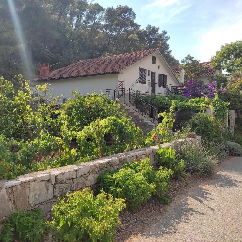 Ferielejlighed - 8 personer -  - Zastražišce - 21466 - Zastrazisce