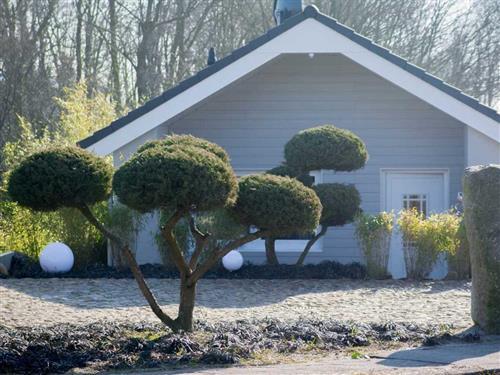 Ferieleilighet - 4 personer -  - Deezbüller Str. - 25899 - Niebüll