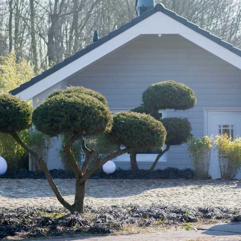 Ferielejlighed - 4 personer -  - Deezbüller Str. - 25899 - Niebüll