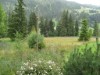 Bild 5 - Ude