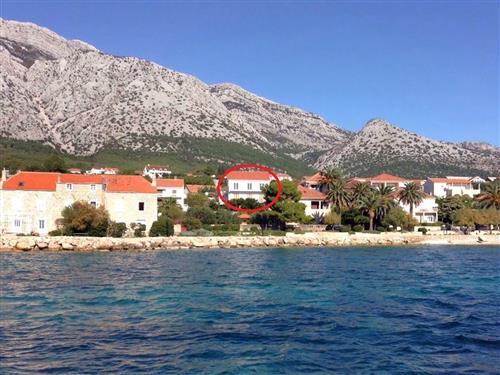Holiday apartment - 5 persons -  - Ulica od Blaca - 20250 - Orebic