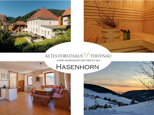 Ferielejlighed - 10 personer -  - Lindenstraße - 79674 - Todtnau