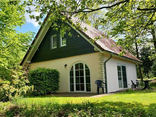 Holiday Home/Apartment - 4 persons -  - 54608 - Brandscheid