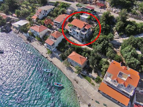 Holiday apartment - 3 persons -  - Vela Gršcica 24, Gršcica - 20271 - Blato