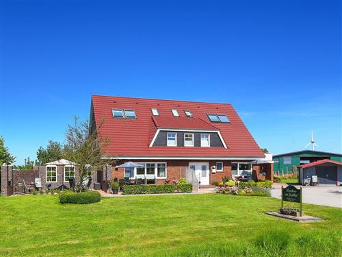 Ferielejlighed - 2 personer -  - Mühlenstrich - 26427 - Neuharlingersiel