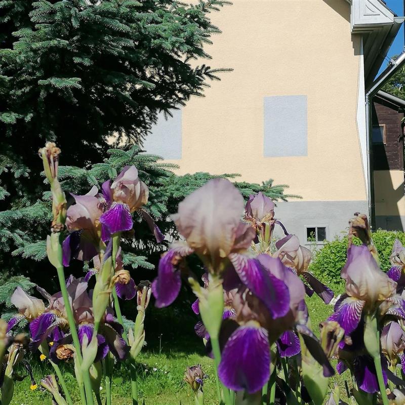 Sommerhus - 4 personer -  - Bad Blumau - 8283 - Bad Blumau