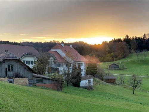 Feriehus / leilighet - 25 personer -  - Oberer Berghof - 4915 - St. Urban