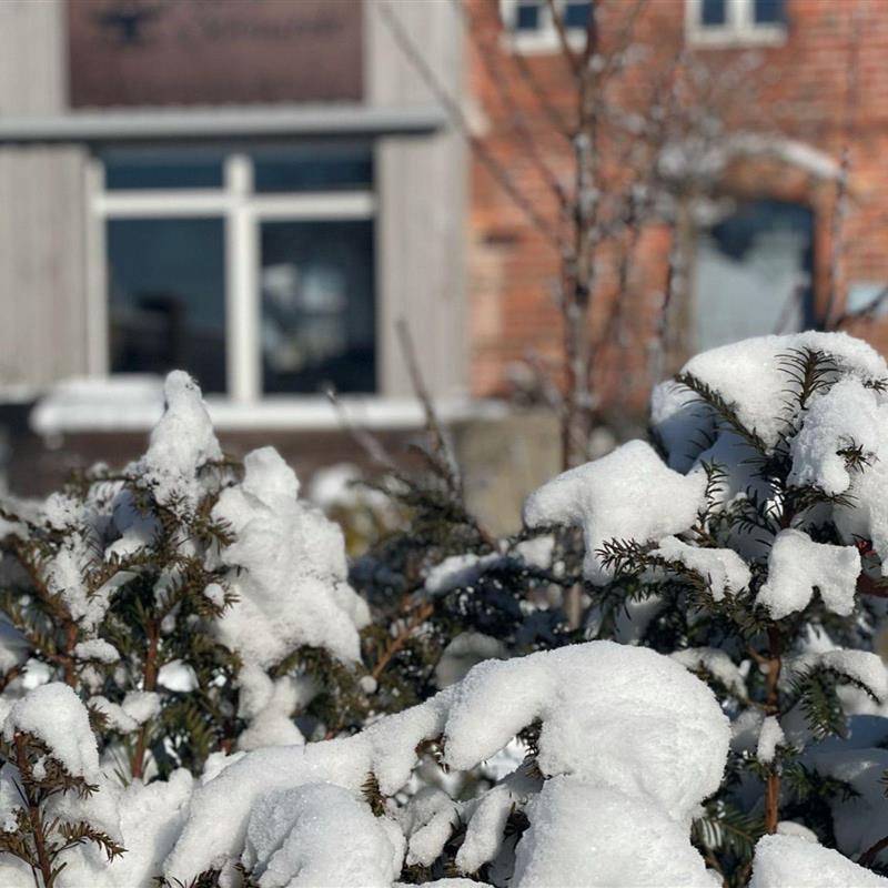 Sommerhus - 9 personer -  - Landstraße - 02979 - Elsterheide - Geierswalde