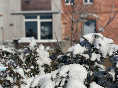 Sommerhus - 9 personer -  - Landstraße - 02979 - Elsterheide - Geierswalde