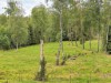 Bild 7 - Ude