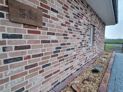 Feriehus - 8 personer -  - Am Jugendheim - 49740 - Westerloh