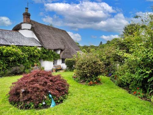 Holiday home - 3 persons -  - EX19 8QD - Winkleigh