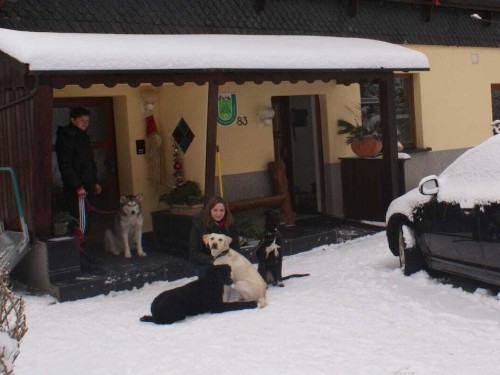 Holiday home - 10 persons -  - 98666 - Masserberg Ot Fehrenbach