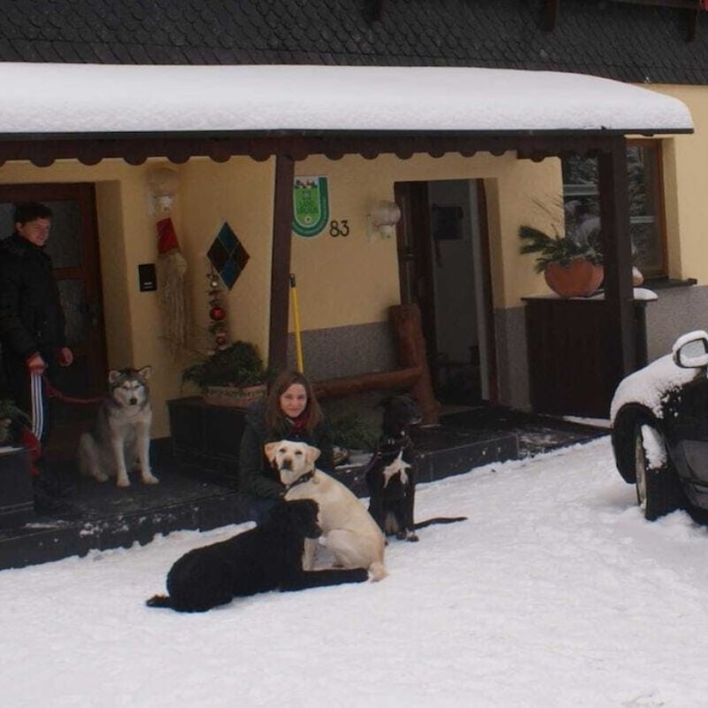 Sommerhus - 10 personer -  - 98666 - Masserberg Ot Fehrenbach