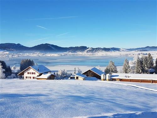 Holiday apartment - 2 persons -  - Willerzell - 8846