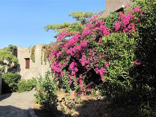 Ferielejlighed - 4 personer -  - Mavrovouni - 23200 - Mavrovouni Gytheio