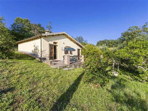 Ferienhaus - 4 Personen -  - Scansano - 58054