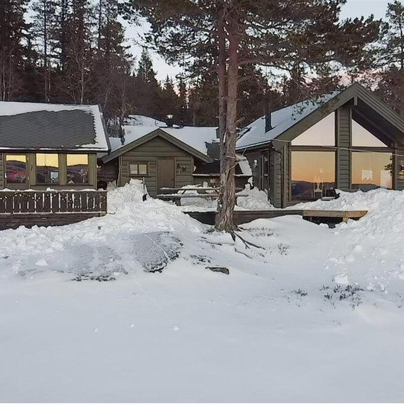 Sommerhus - 11 personer -  - Olaveien - Tempelseter - 3359 - Eggedal