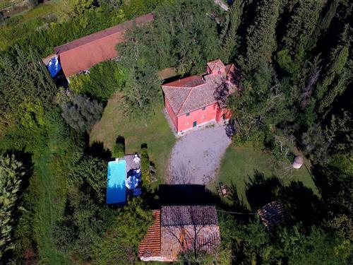 Fritidshus - 12 personer -  - 56037 - Ghizzano Di Peccioli