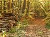 Bild 31