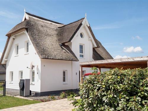 Feriehus - 6 personer -  - Am Hafen - 18574 - Puddemin