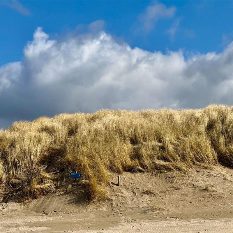 Sommerhus - 5 personer -  - Schoorl - 1749BV