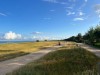 Billede 39