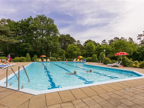 Chalet - 4 personer -  - 7475SL - Markelo