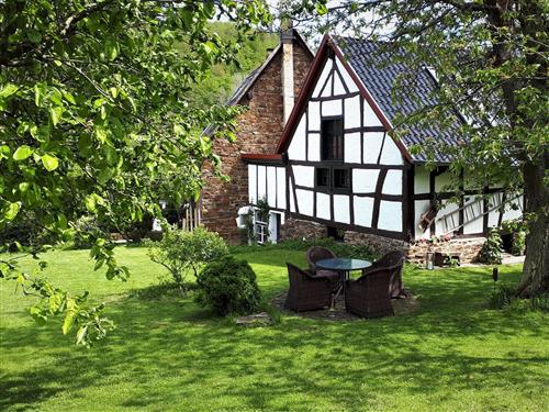 Ferienwohnung - 9 Personen -  - Ahrtalstraße - 53533 - Antweiler