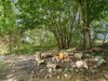 Bild 22