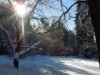 Bild 31 - Inde