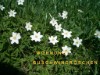 Billede 23