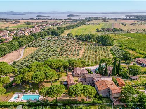 Sommerhus - 4 personer -  - Via Vernazzano Basso s.n.c. - 06069 - Tuoro Sul Trasimeno