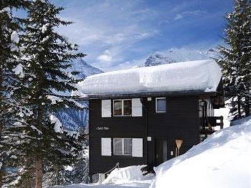 Holiday apartment - 4 persons -  - Unterdorf - 3825 - Mürren