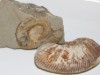 Bild 24