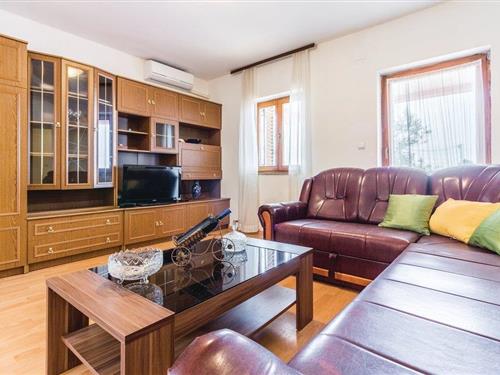 Holiday apartment - 8 persons -  - Puljska cesta - 52100 - Pula