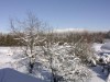 Bild 18
