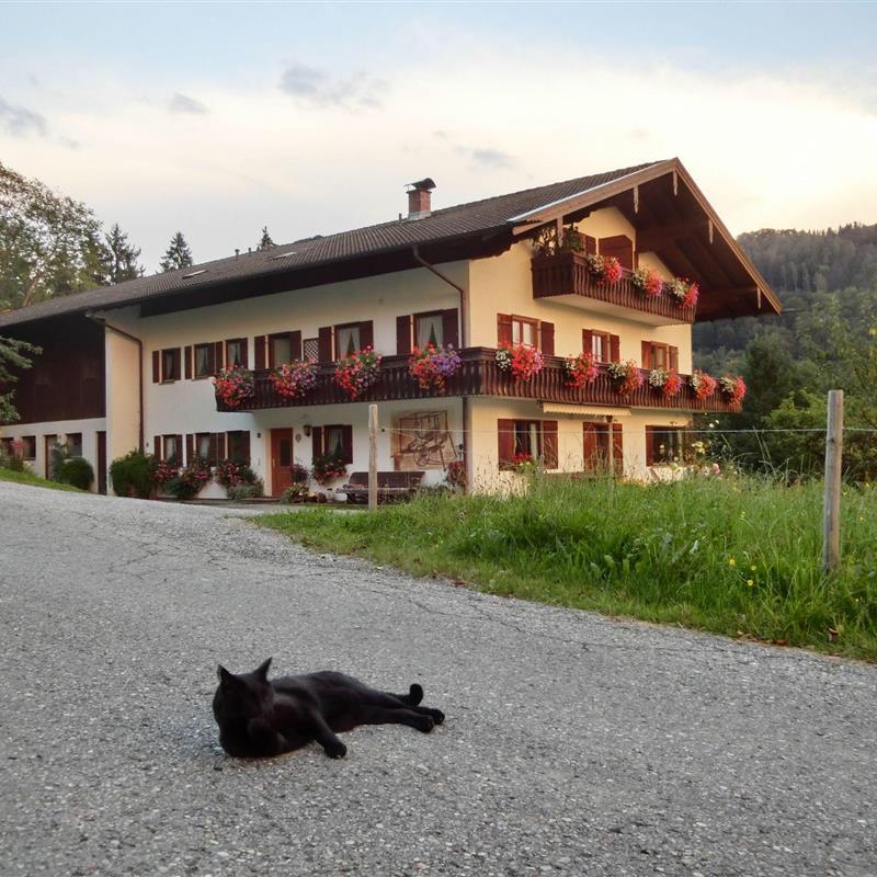 Ferielejlighed - 4 personer -  - Brunn - 83122 - Samerberg