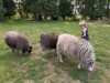 Bild 16