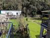 Bild 17