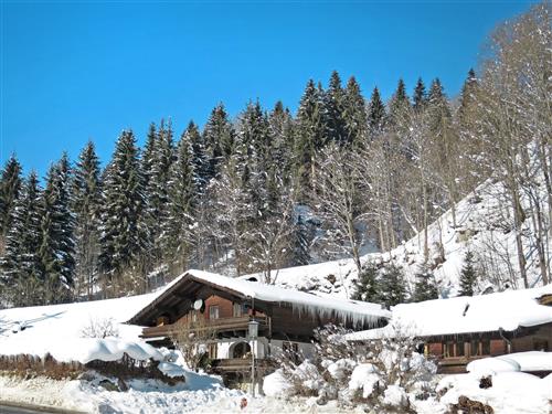 Holiday Home/Apartment - 6 persons -  - Saalbach-Hinterglemm - 5752