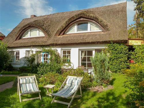 Feriehus - 7 personer -  - Rabenstraße - 18609 - Binz