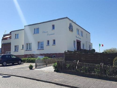 Ferienhaus - 1 Person -  - Goethestraße - 26757 - Borkum