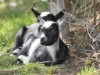 Bild 18
