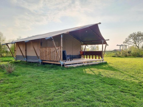 Tent lodge - 4 persons -  - 9215VV - De Veenhoop