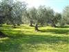 Bild 41 - Aussen